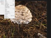 Unidad Trabajando Photoshop CS6. Conceptos básicos (II)