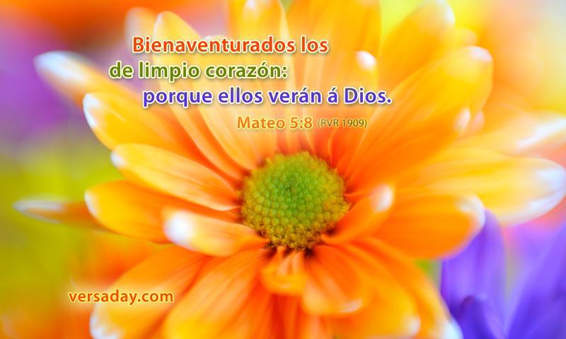 Bienaventurados los de limpio corazón