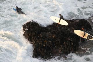 Pichilemu: playas, surf y mucha cultura huasa