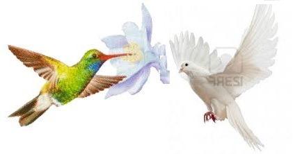 Cuento Solidario ♥