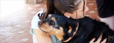 Dama, orgullo de chucho, en adopción.‏ (Sevilla)