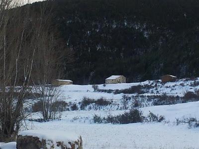 Algunas fotos más de la Nevada de enero 2013