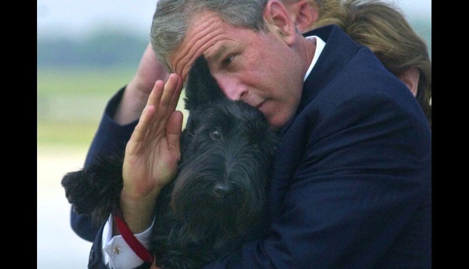 muere Barney, el perro de Bush