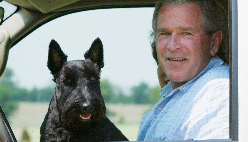 muere Barney, el perro de Bush