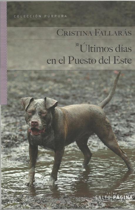 Novedades Febrero '13