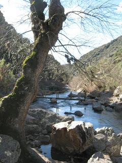 Parque Nacional de Cabañeros: una crónica salvaje