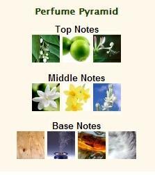 El perfume del mes – “Christian Lacroix NUIT” de AVON