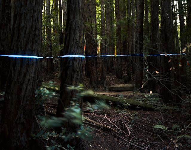 Barry Underwood. Flotando en la Naturaleza