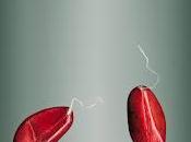 Belleza Semillas, Svjetlana Tepavcevic