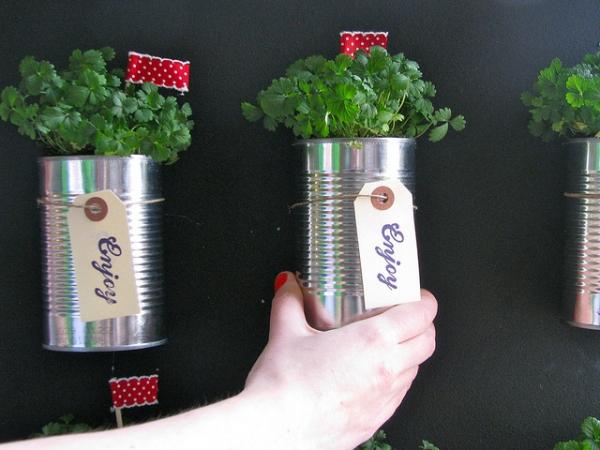 boda diy favores lata plantas