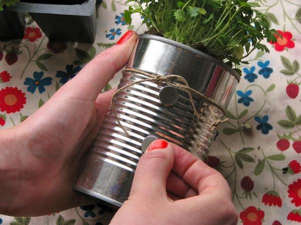 boda diy favores lata plantas