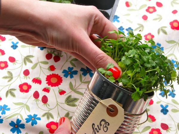 boda diy favores lata plantas