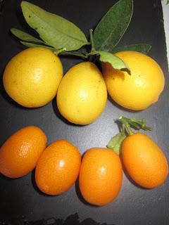 NARANJAS CHE