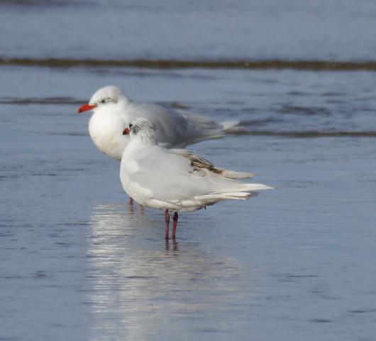 Pequeños vertidos y otras amenazas