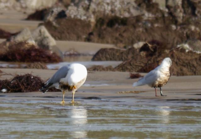 Pequeños vertidos y otras amenazas