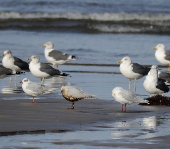 Pequeños vertidos y otras amenazas