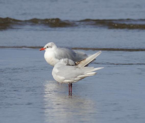 Pequeños vertidos y otras amenazas