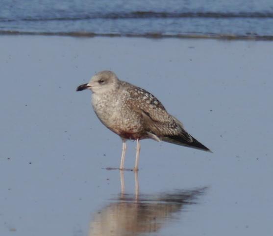 Pequeños vertidos y otras amenazas