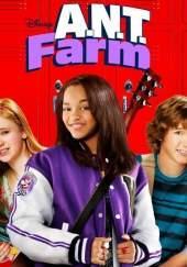 Reseña de Literatura | Del material del que están hechos los sueños, de Elizabeth Eulberg. «¿Qué estarías dispuesto hacer por tus sueños?» FARM: escuela de talentos