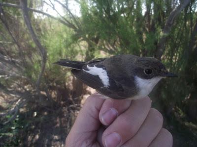 Jornada para recordar...!!