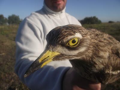Jornada para recordar...!!