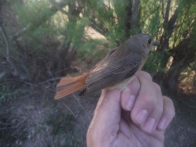 Jornada para recordar...!!