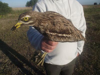 Jornada para recordar...!!