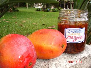 CHUTNEY de mangos. RECETA 1.