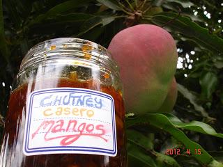 CHUTNEY de mangos. RECETA 1.