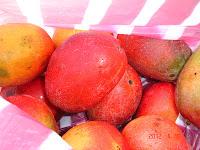 CHUTNEY de mangos. RECETA 1.