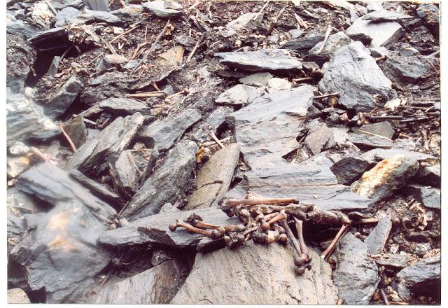 El lago de los huesos. Roopkund.