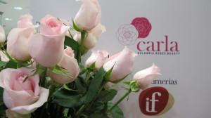 Perfumerías IF y San Valentín