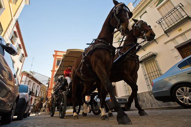 La Fiesta de las Candelas tras el objetivo de un fotógrafo ruso