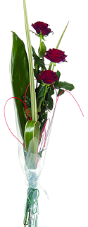 Teleflora.es 5 soluciones online para mandar flores por San Valentín - Floristerias online - Wild Style Magazine