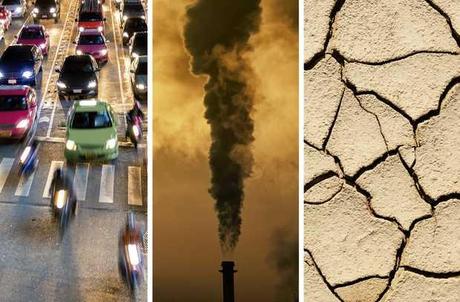 Amar a Dios es amar su creación, la avaricia está destruyendo el planeta