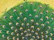 Memorias sinvergüenza siete suelas