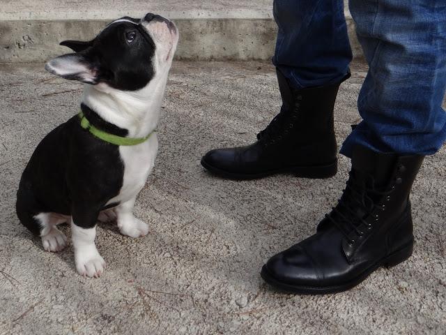 Sudadera Mike Casual Chic by Tramadora