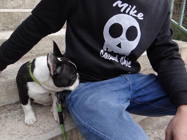 Sudadera Mike Casual Chic by Tramadora