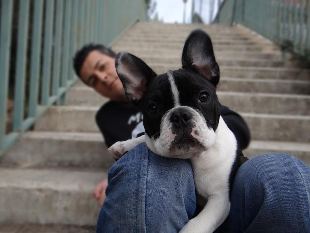 Sudadera Mike Casual Chic by Tramadora