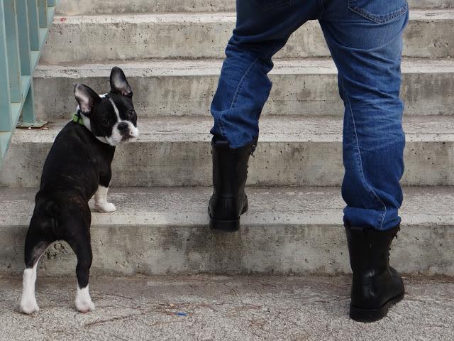 Sudadera Mike Casual Chic by Tramadora