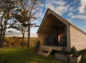 Arquitectura Sorprendente para Beatriz