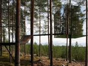 Experiencia chic Laponia Sueca, Treehotel