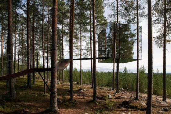 treehotel_01