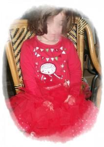 DSCF4487 Falda de tul casera