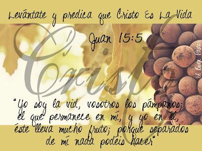 LOS REQUISITOS DEL SERVICIO