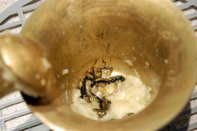 La mejor receta de calamares en su tinta, la receta casera de mi madre!