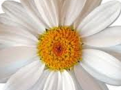 Recupera firmeza cuello escote