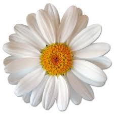 RECUPERA FIRMEZA EN CUELLO Y ESCOTE