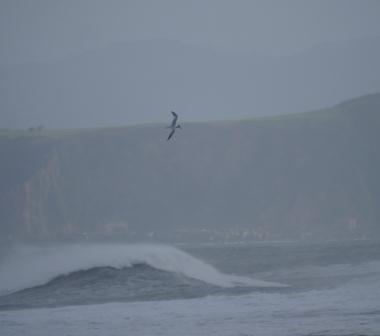 Garrucho nel muelle Lluanco