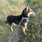 PATTY la compañera ideal‏.